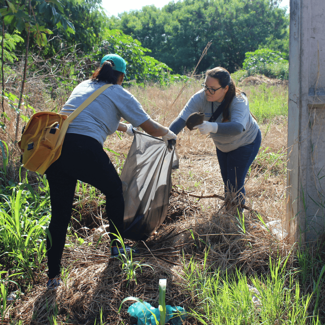 LIRAa aponta queda histórica nos índices do Aedes aegypti em Sarandi